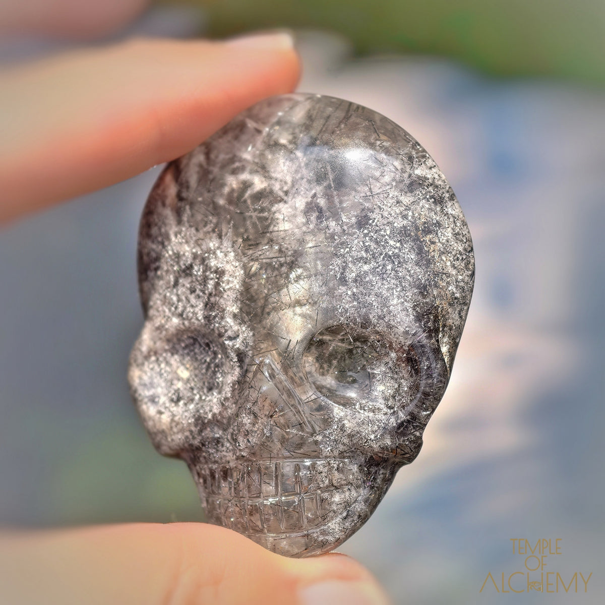 Lodolite x Black Tourmaline