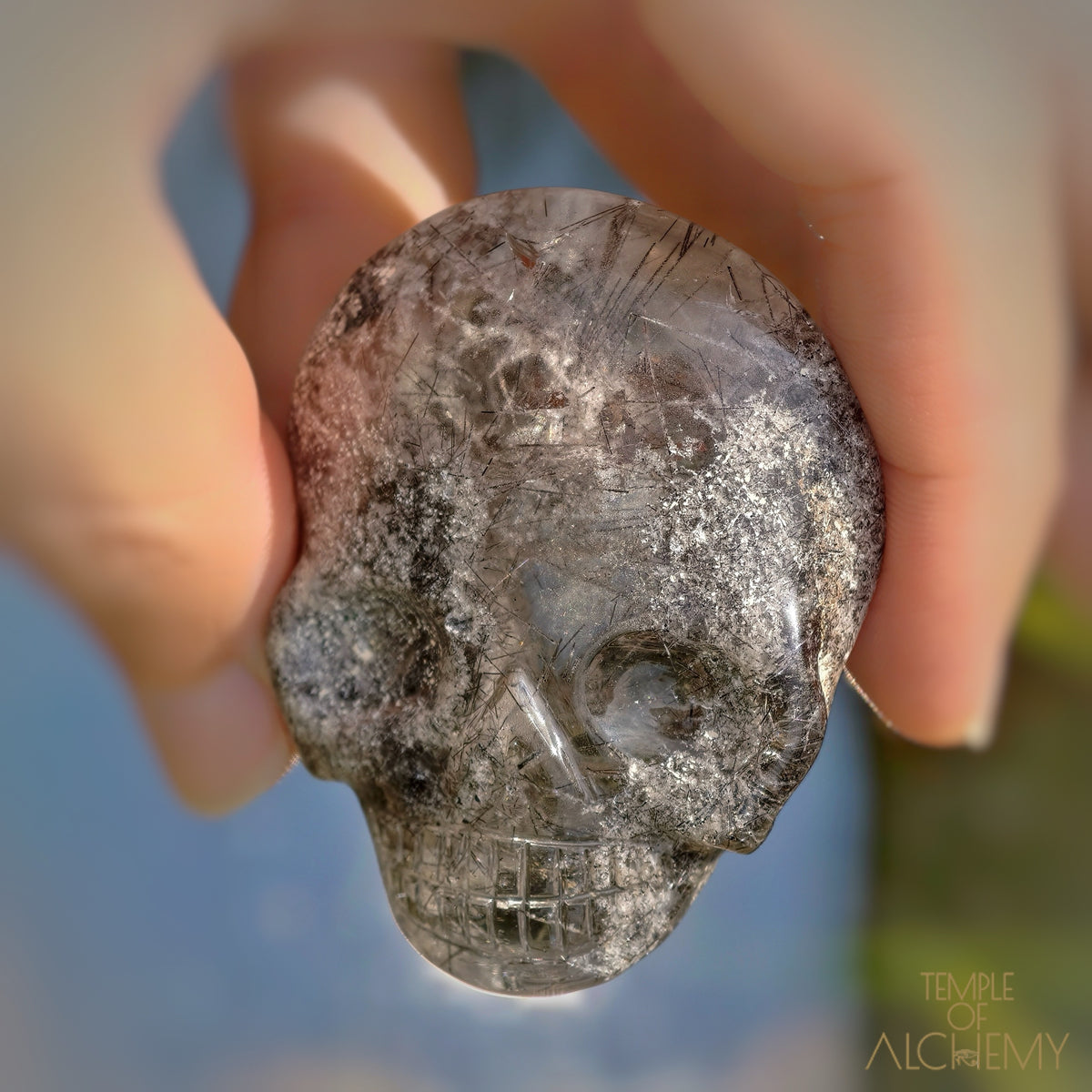 Lodolite x Black Tourmaline
