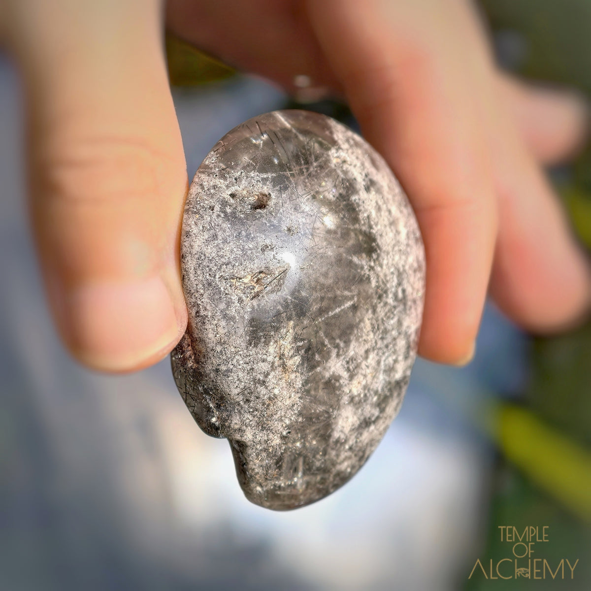 Lodolite x Black Tourmaline