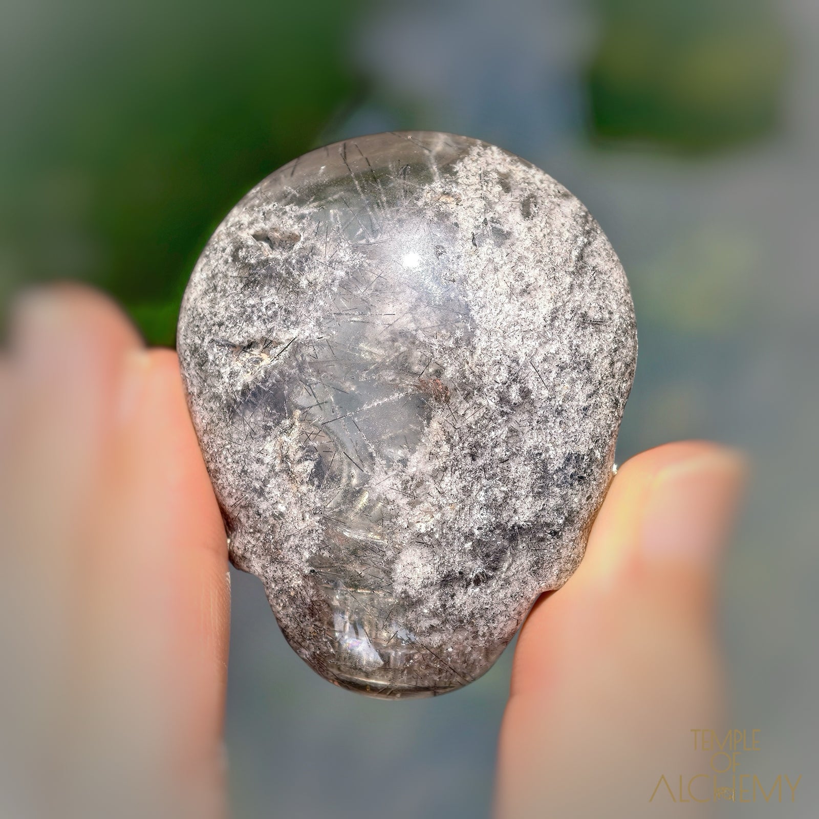 Lodolite x Black Tourmaline