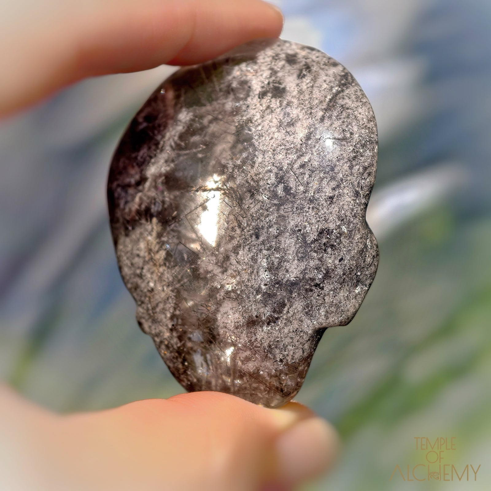 Lodolite x Black Tourmaline