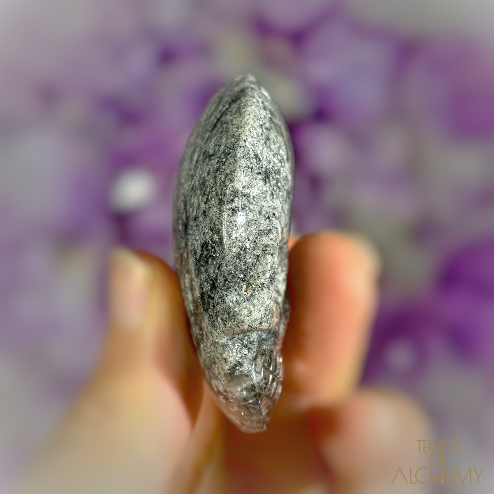 Lodolite x Black Tourmaline