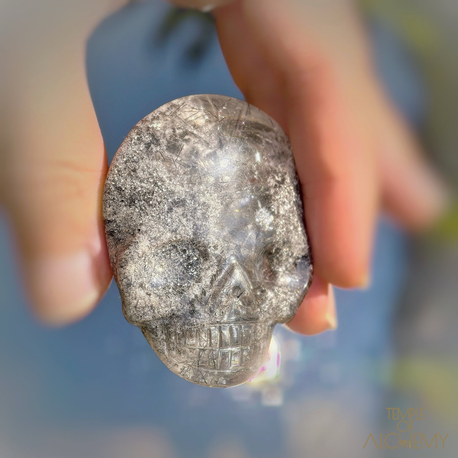 Lodolite x Black Tourmaline