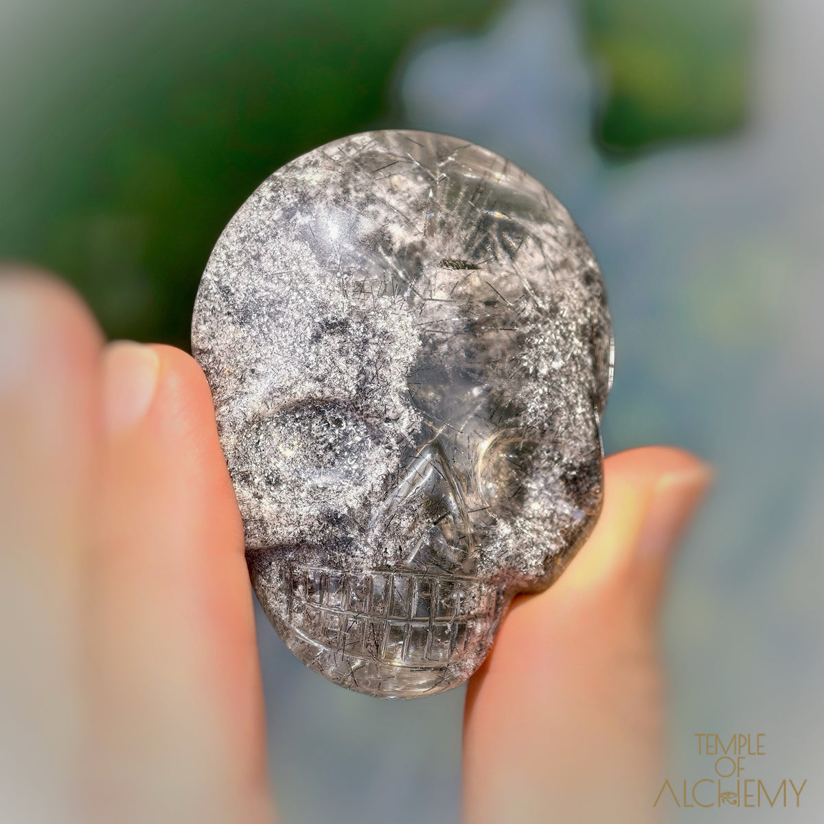 Lodolite x Black Tourmaline