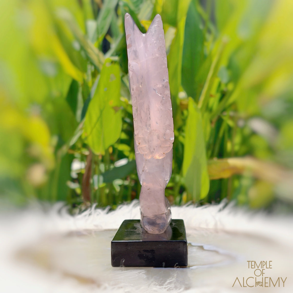 Girasol Rose Quartz