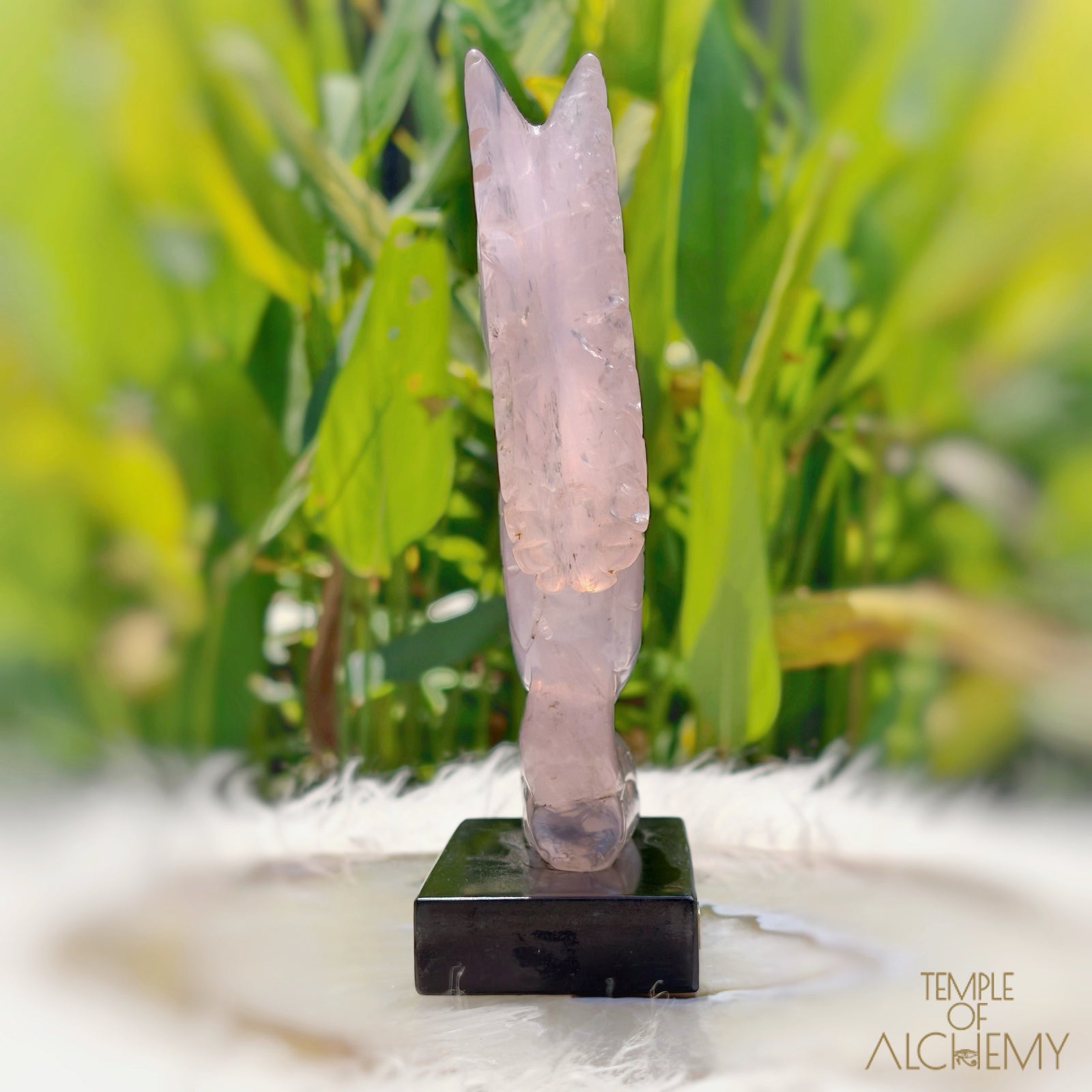 Girasol Rose Quartz