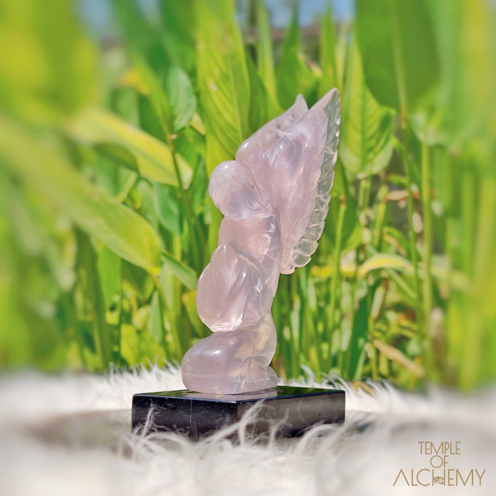 Girasol Rose Quartz