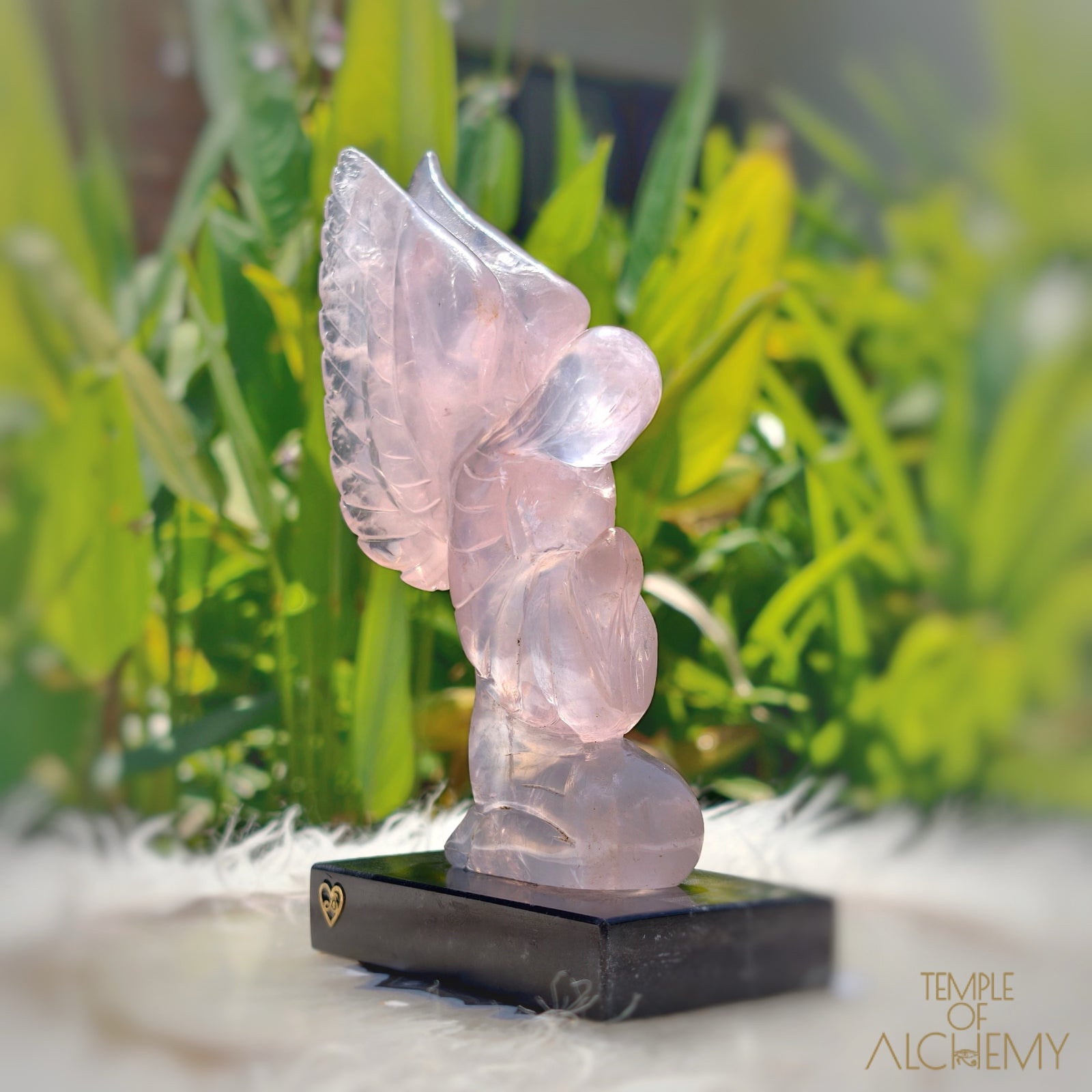 Girasol Rose Quartz