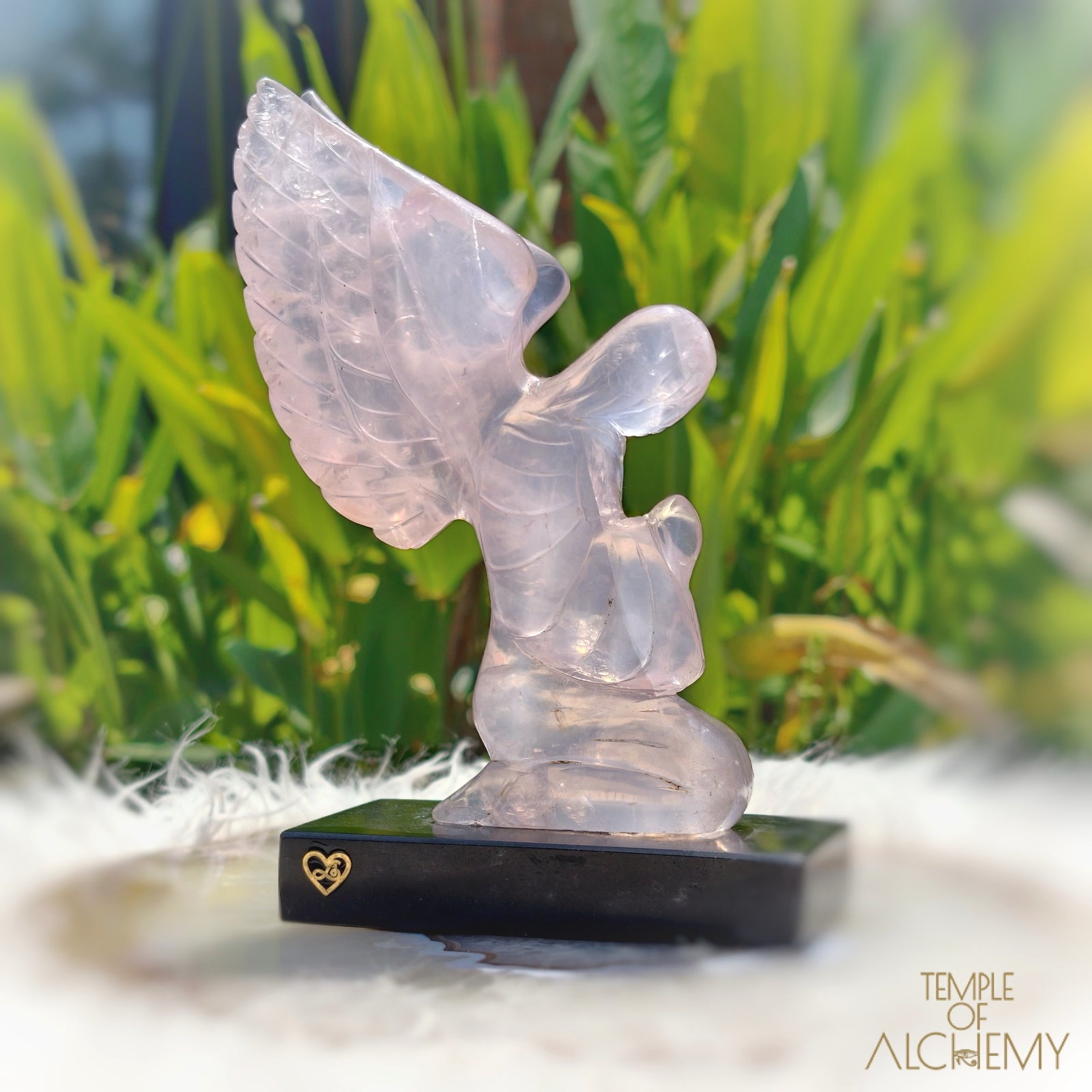 Girasol Rose Quartz