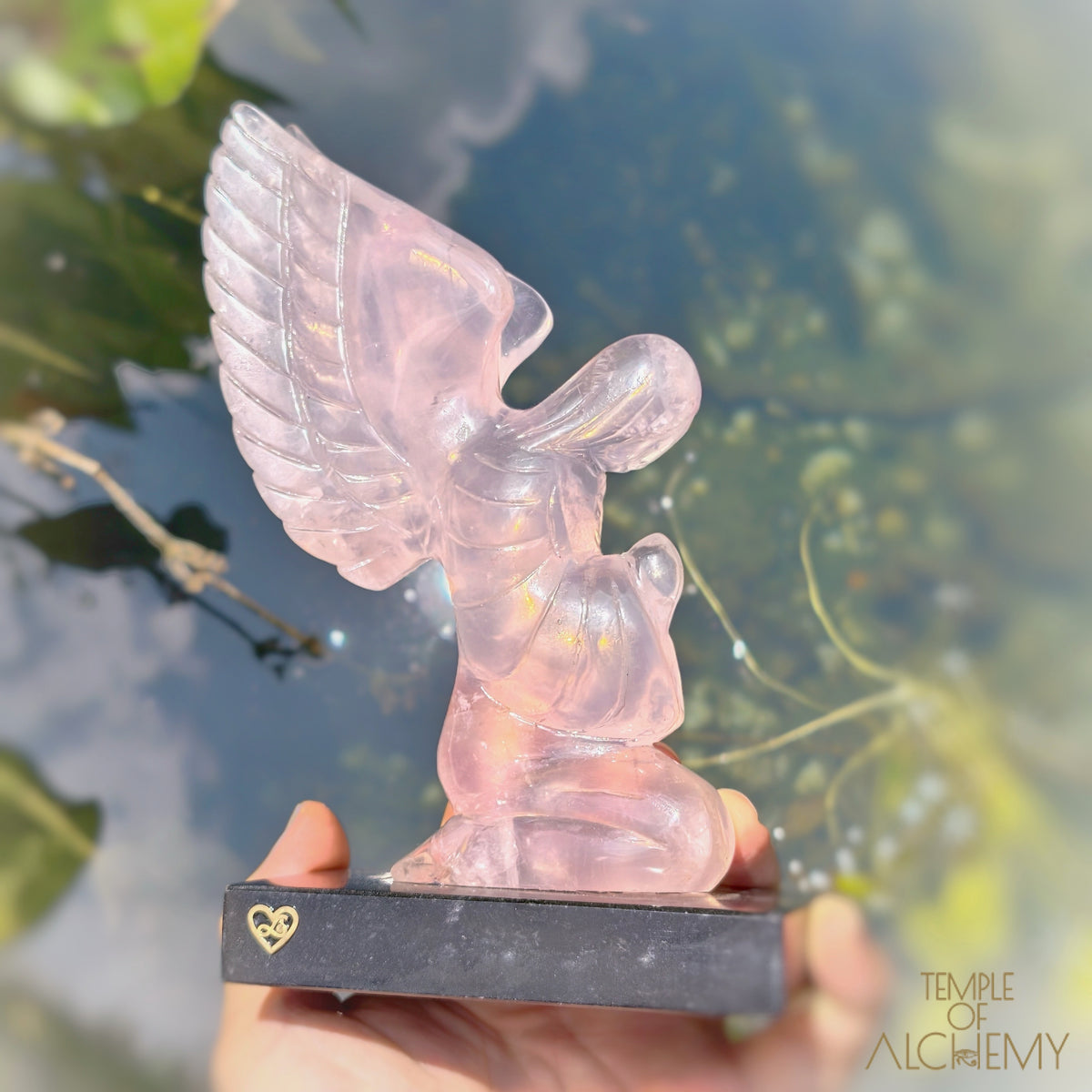 Girasol Rose Quartz
