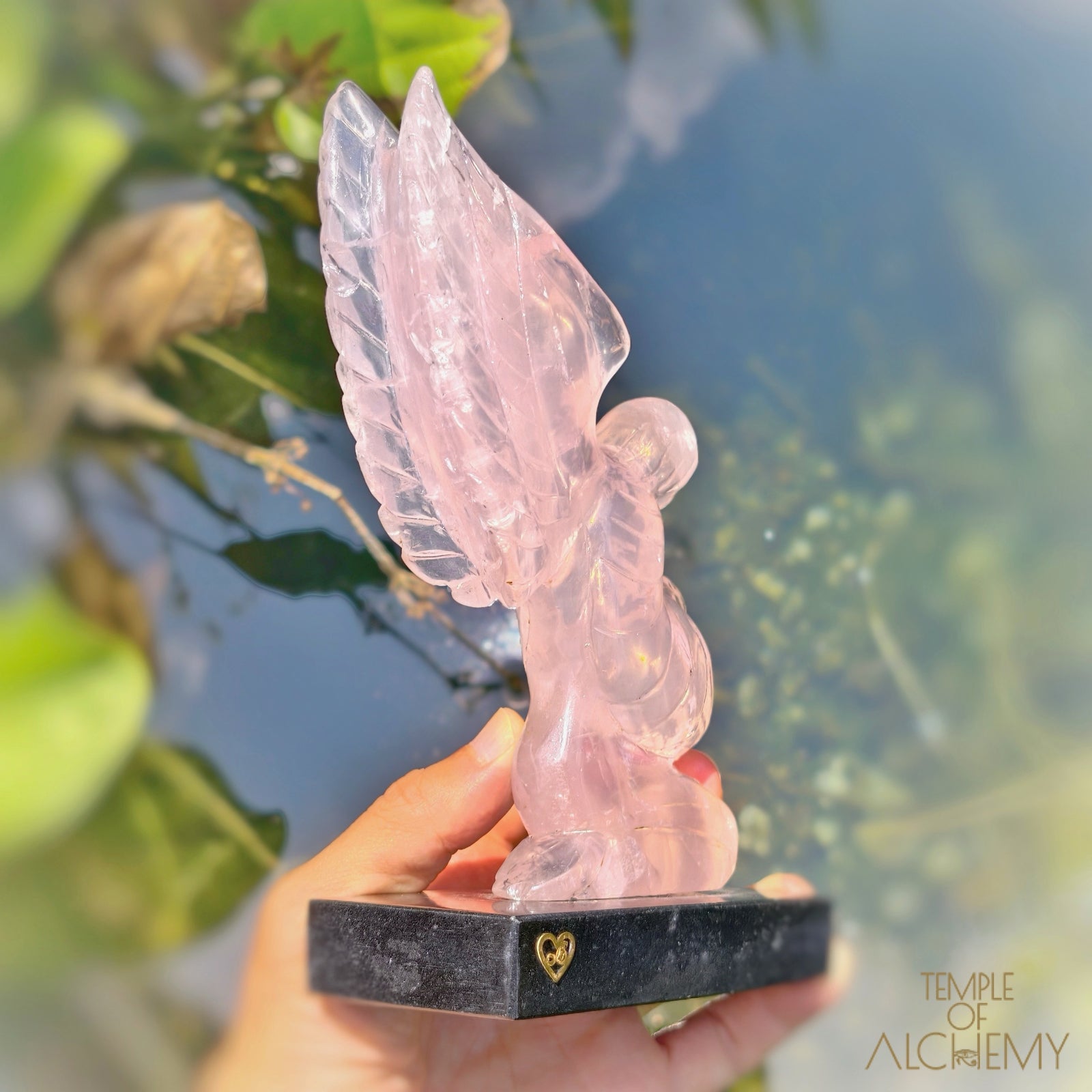Girasol Rose Quartz