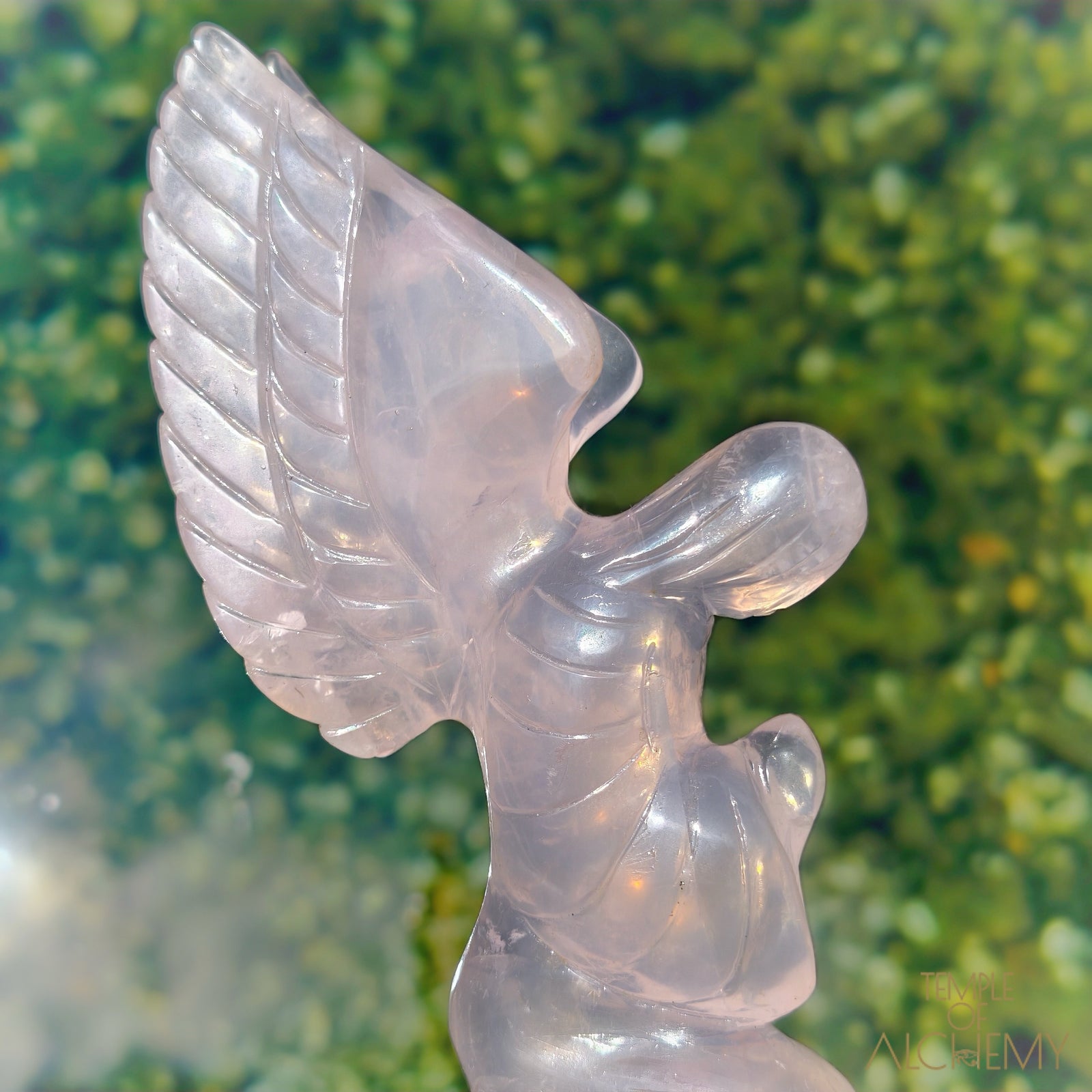 Girasol Rose Quartz