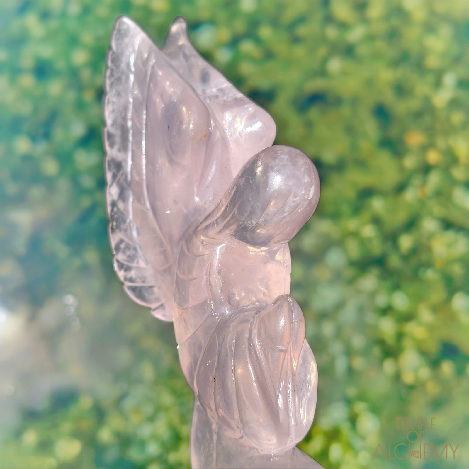 Girasol Rose Quartz
