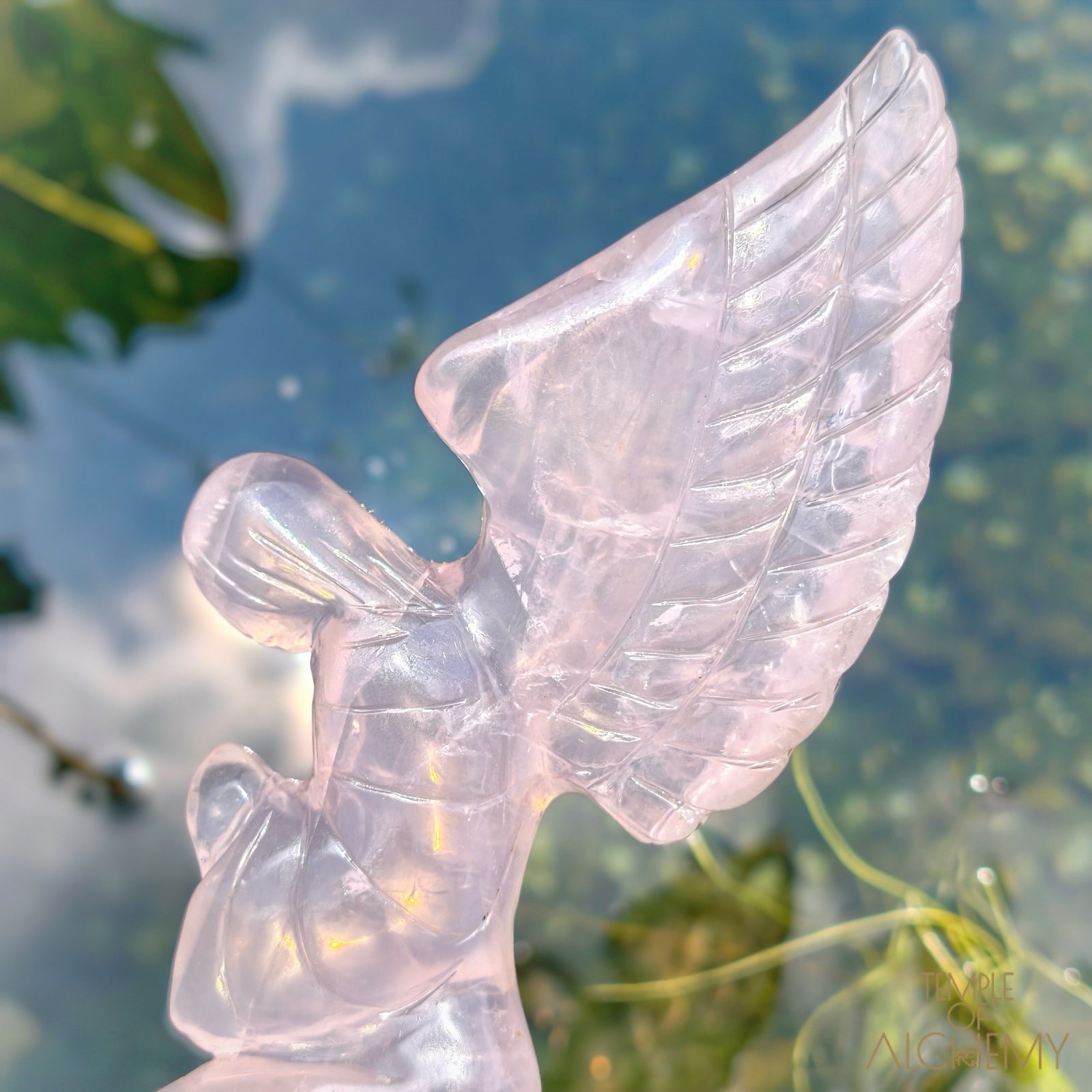 Girasol Rose Quartz