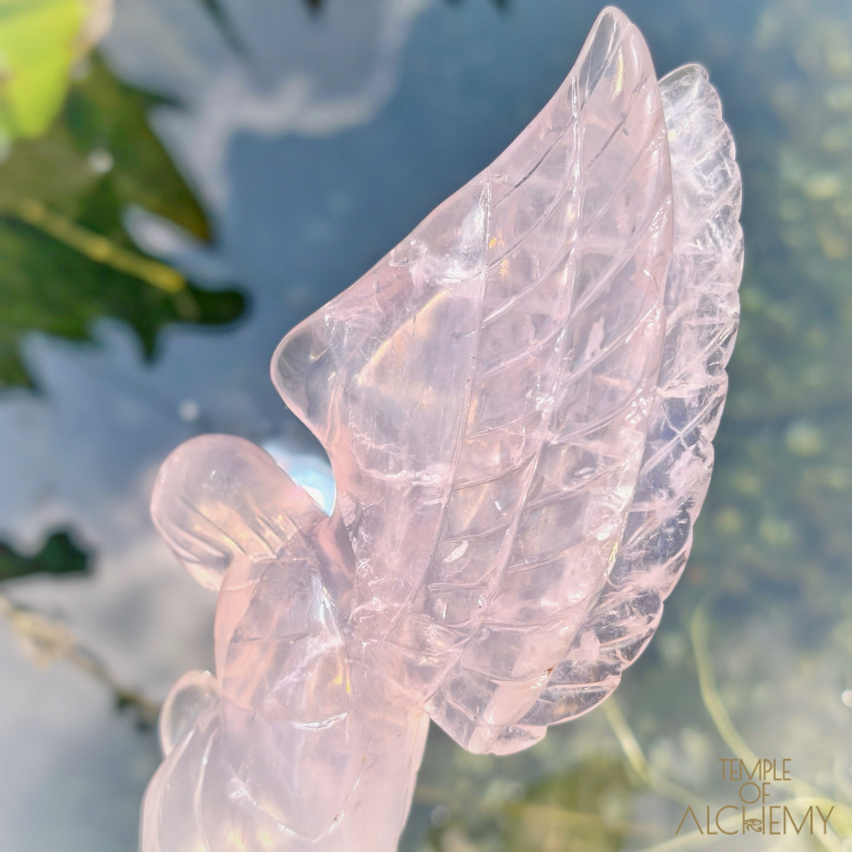 Girasol Rose Quartz