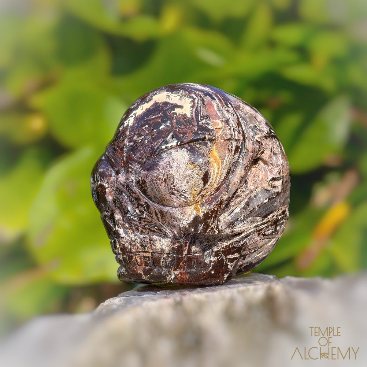 Fascia Jasper