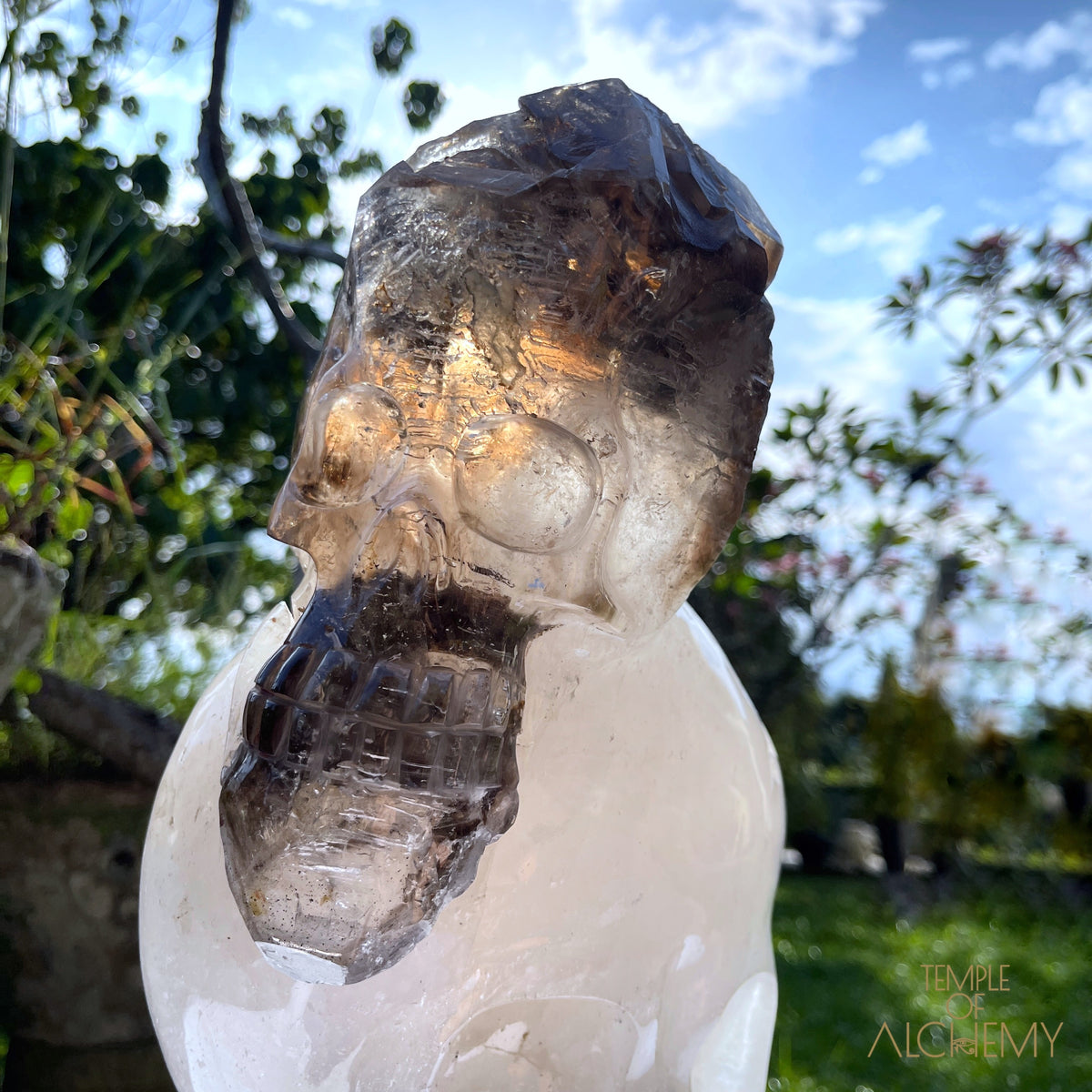 * Reserved * Andre & Gina 𓆃 Warrior #194 : The Awakening of the Warrior Queen