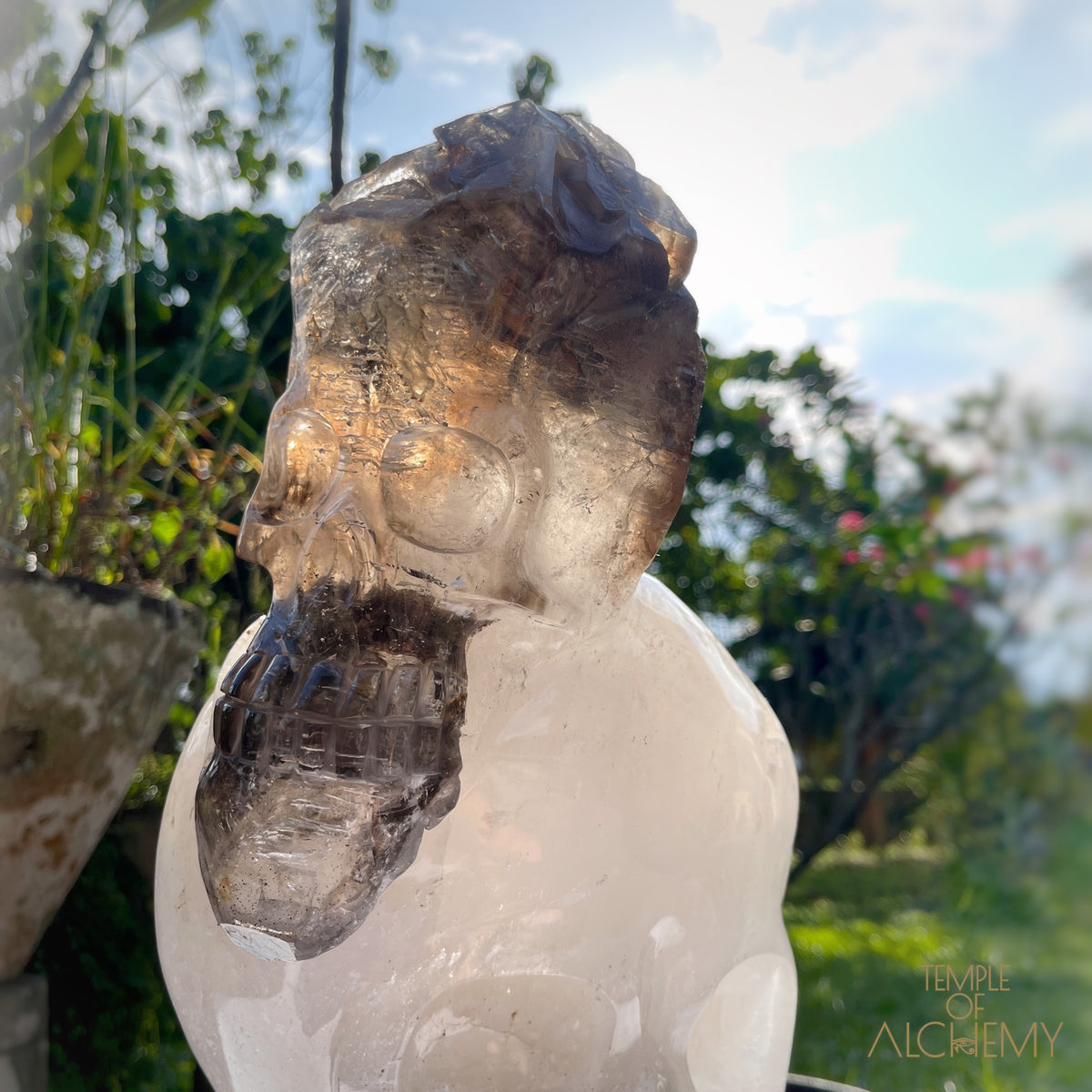 * Reserved * Andre & Gina 𓆃 Warrior #194 : The Awakening of the Warrior Queen