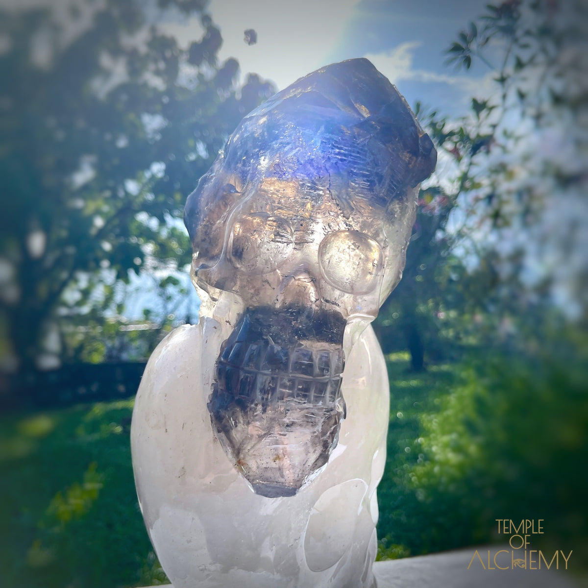 * Reserved * Andre & Gina 𓆃 Warrior #194 : The Awakening of the Warrior Queen