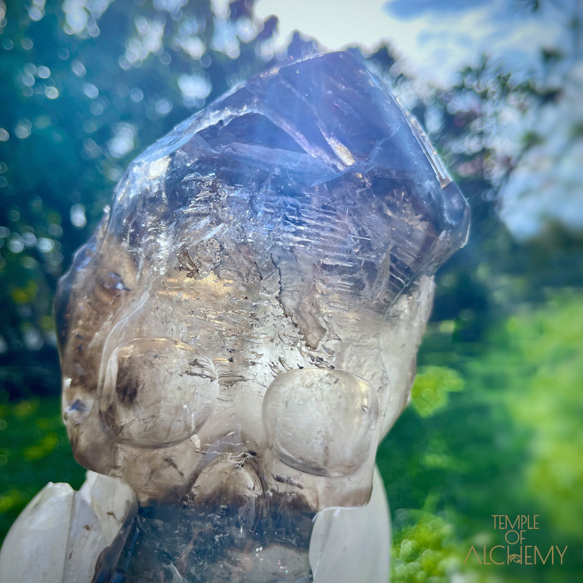 * Reserved * Andre & Gina 𓆃 Warrior #194 : The Awakening of the Warrior Queen