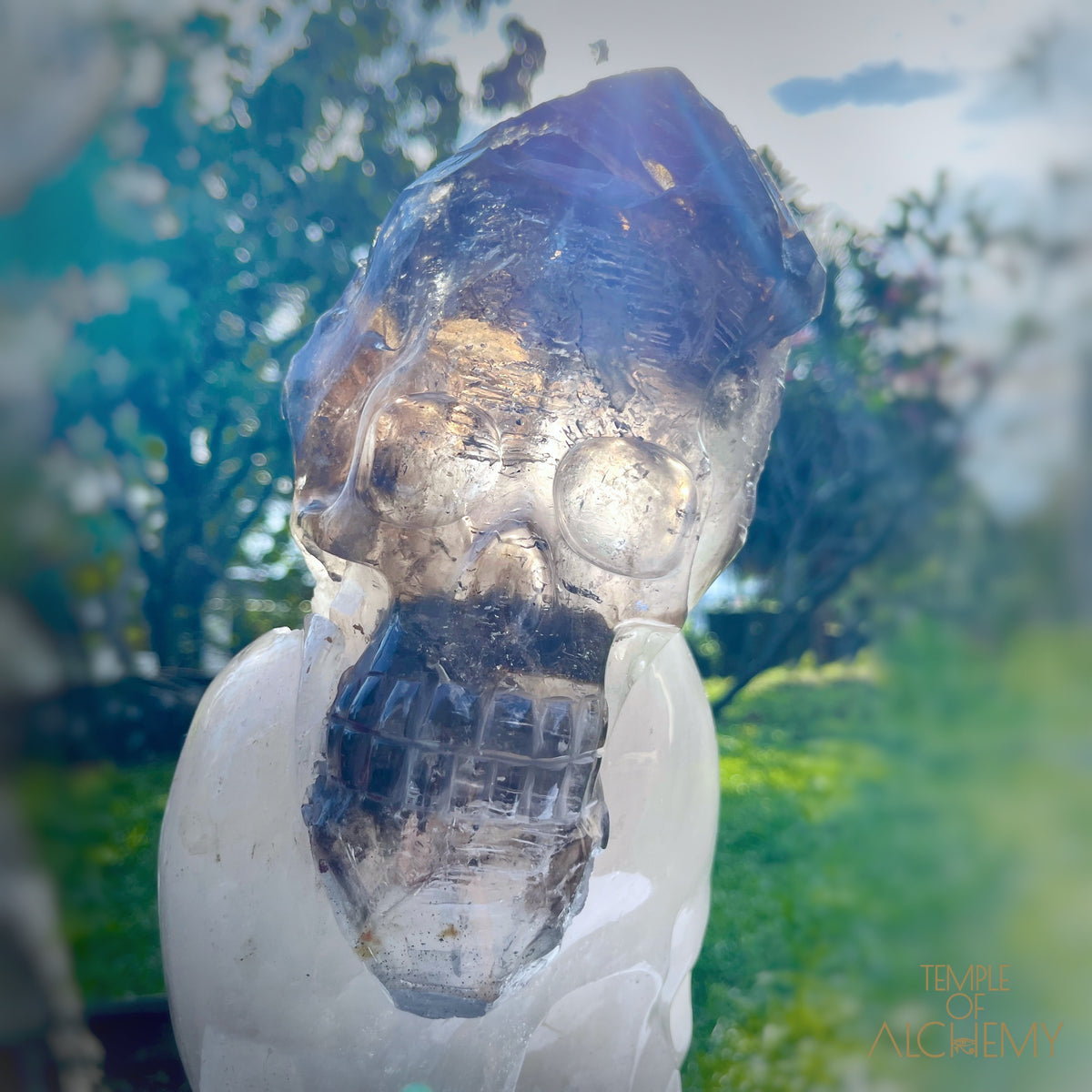 * Reserved * Andre & Gina 𓆃 Warrior #194 : The Awakening of the Warrior Queen