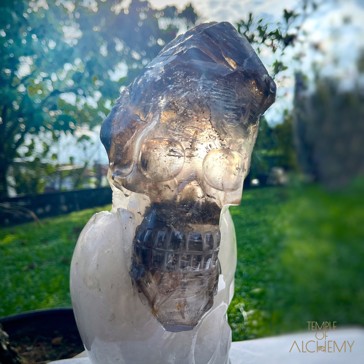 * Reserved * Andre & Gina 𓆃 Warrior #194 : The Awakening of the Warrior Queen