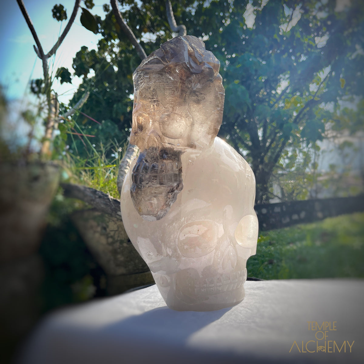 * Reserved * Andre & Gina 𓆃 Warrior #194 : The Awakening of the Warrior Queen