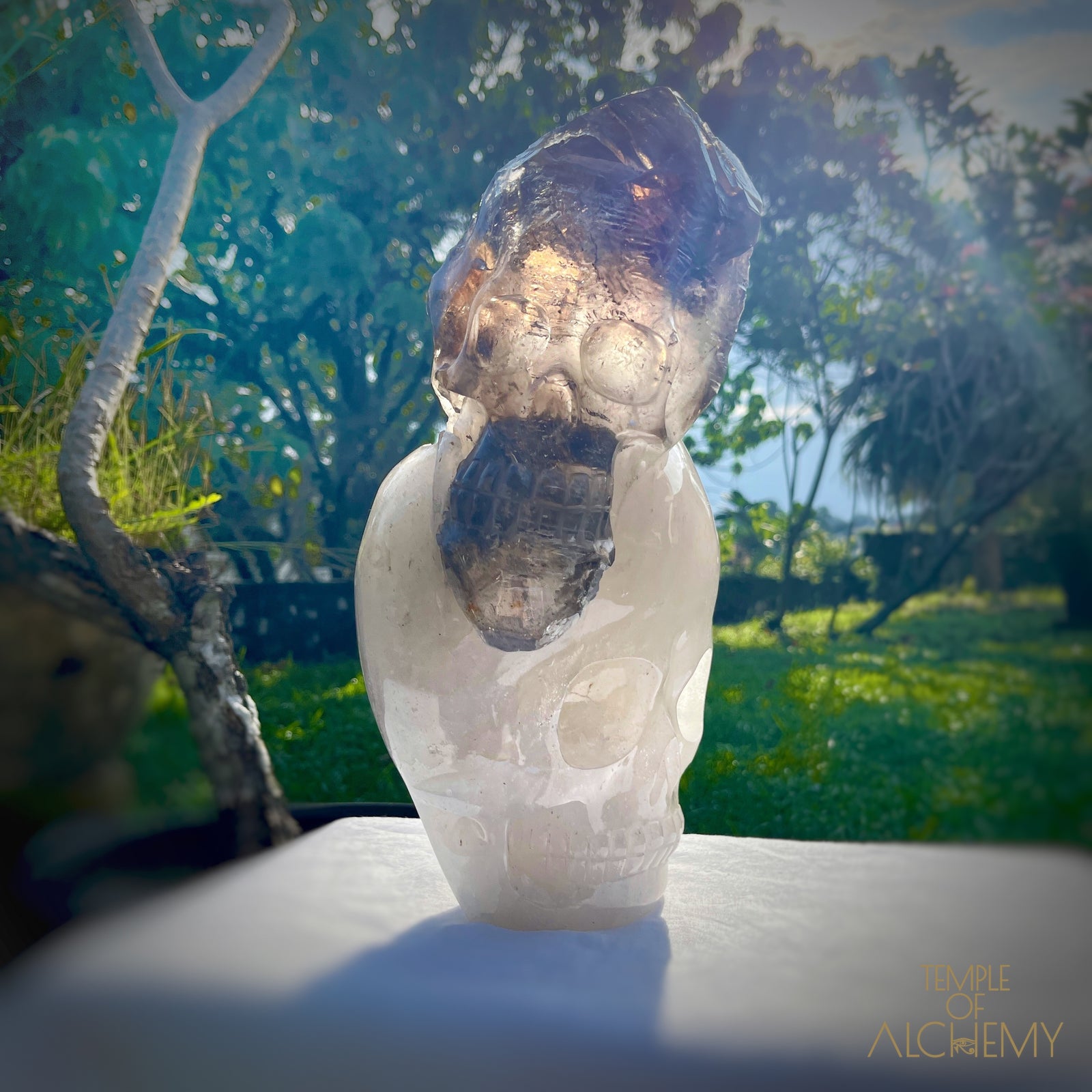 * Reserved * Andre & Gina 𓆃 Warrior #194 : The Awakening of the Warrior Queen