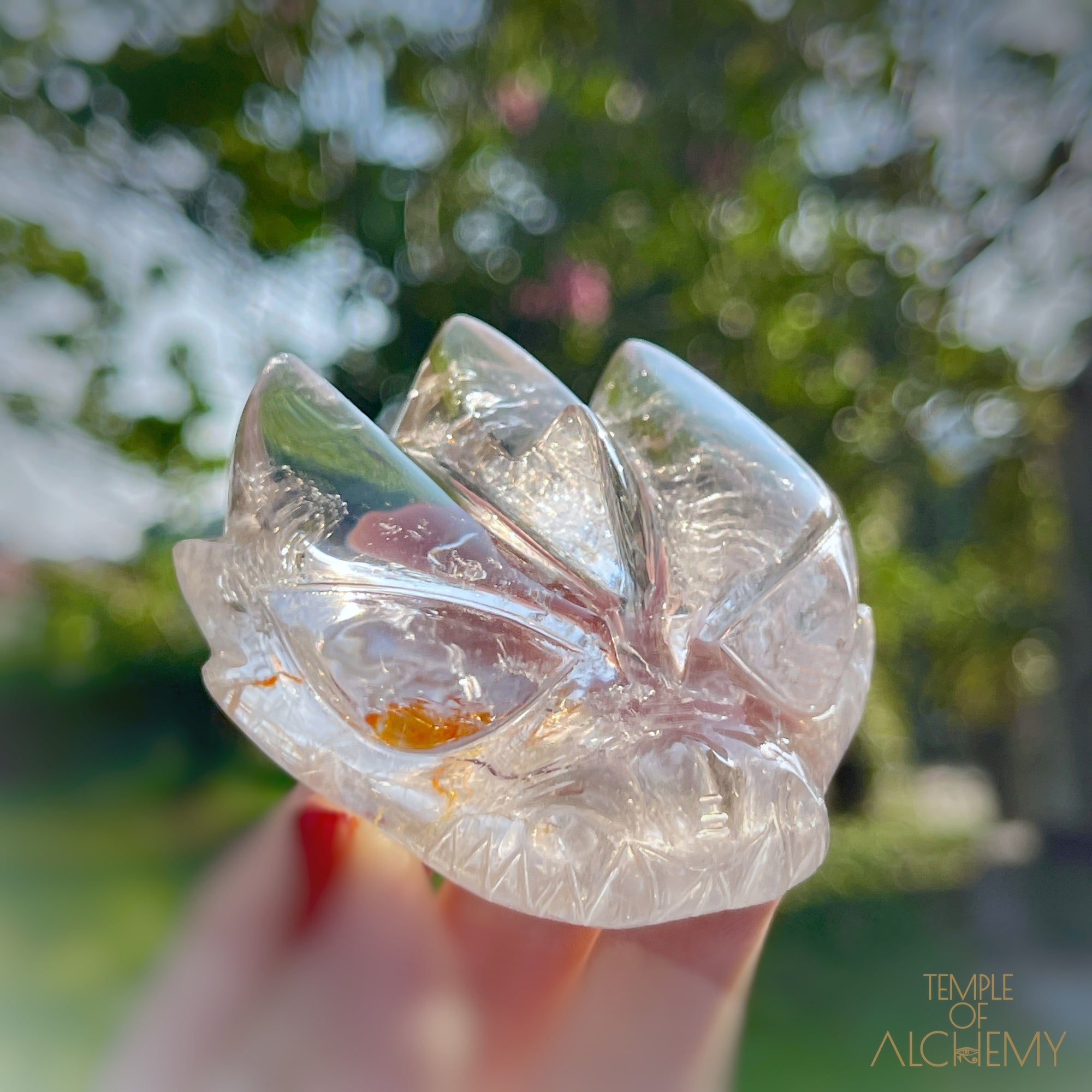 Golden Rutiles in Clear Quartz + Golden Healer