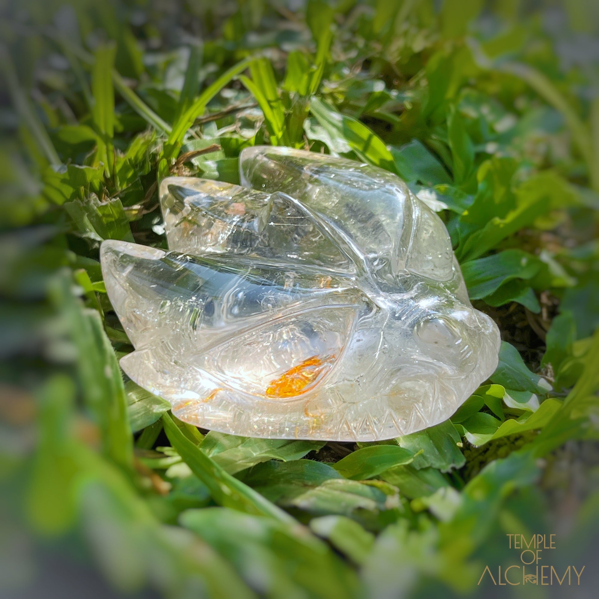 Golden Rutiles in Clear Quartz + Golden Healer