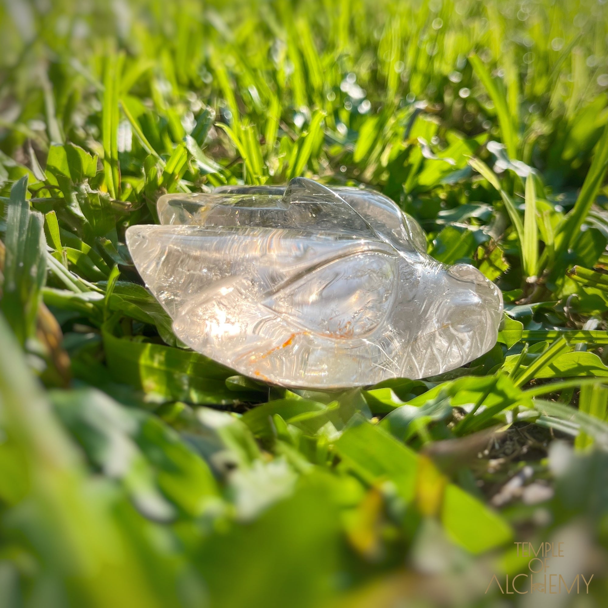 Golden Rutiles in Clear Quartz + Golden Healer