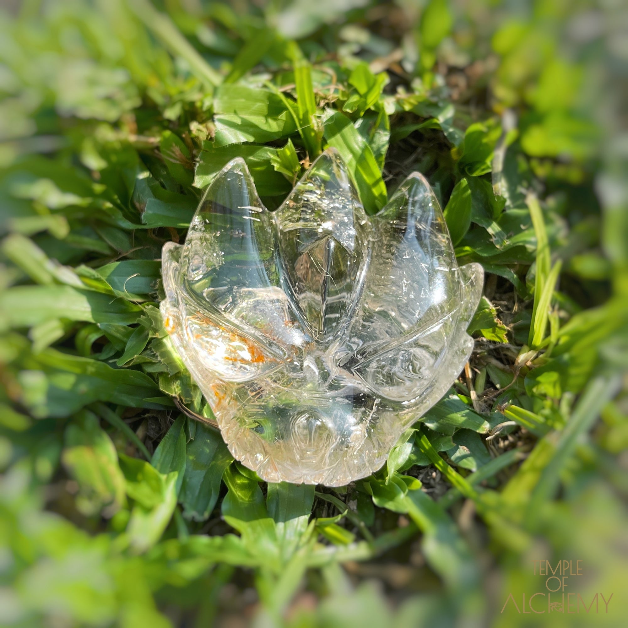 Golden Rutiles in Clear Quartz + Golden Healer