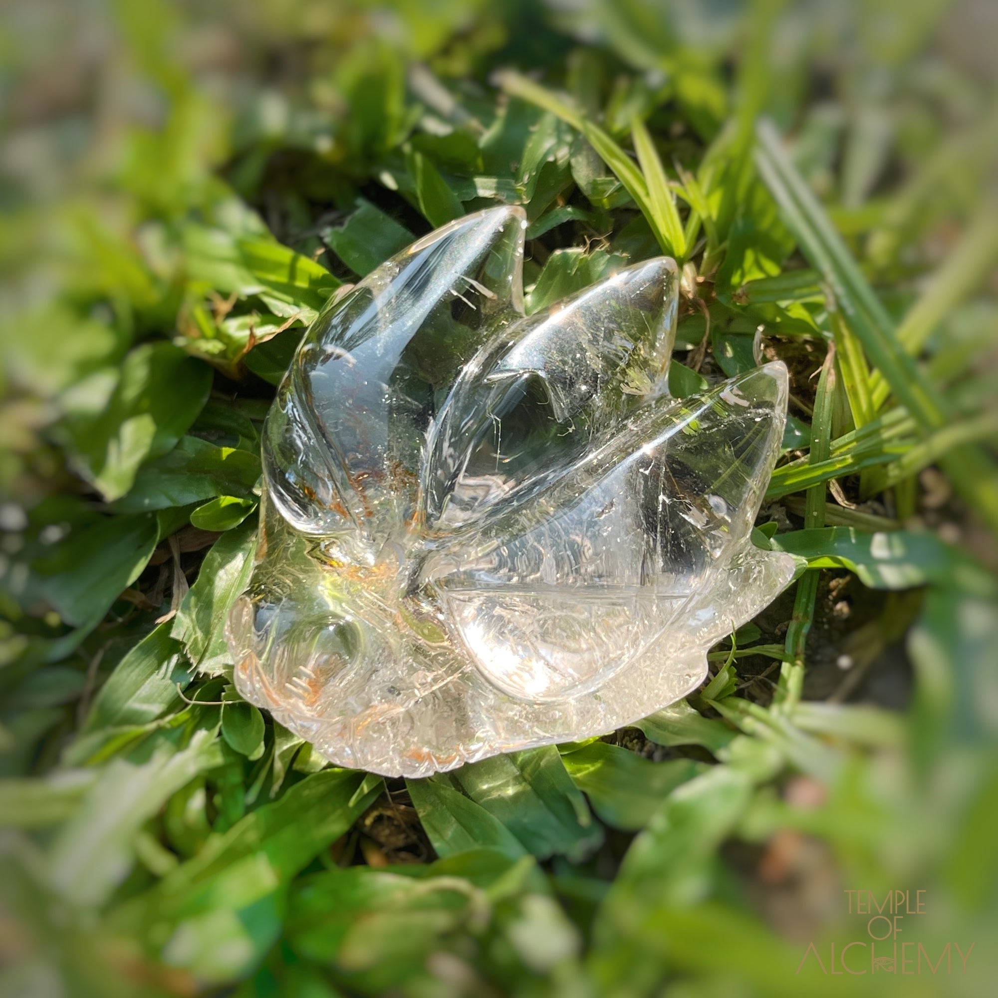 Golden Rutiles in Clear Quartz + Golden Healer