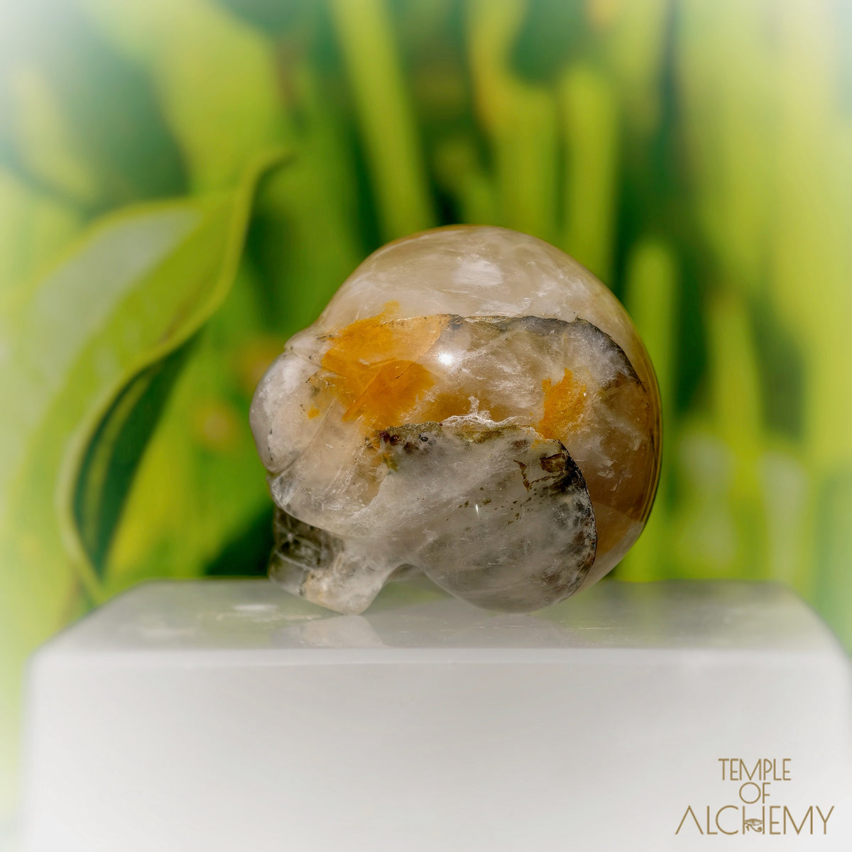 Green Chlorite x Golden Healer x Milky Quartz