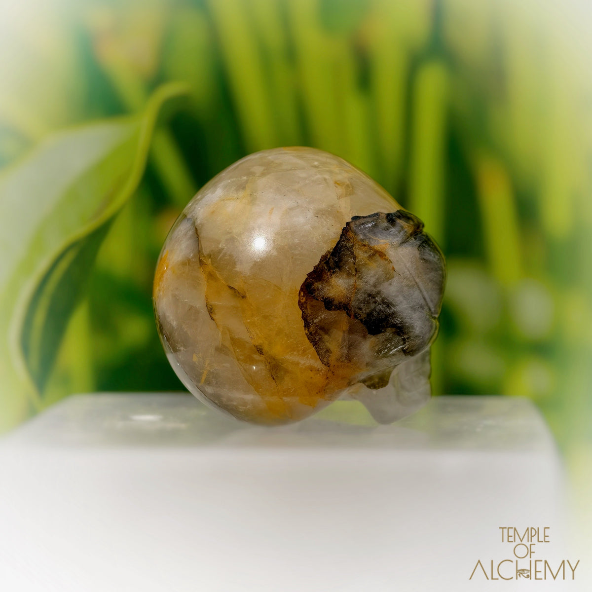 Green Chlorite x Golden Healer x Milky Quartz