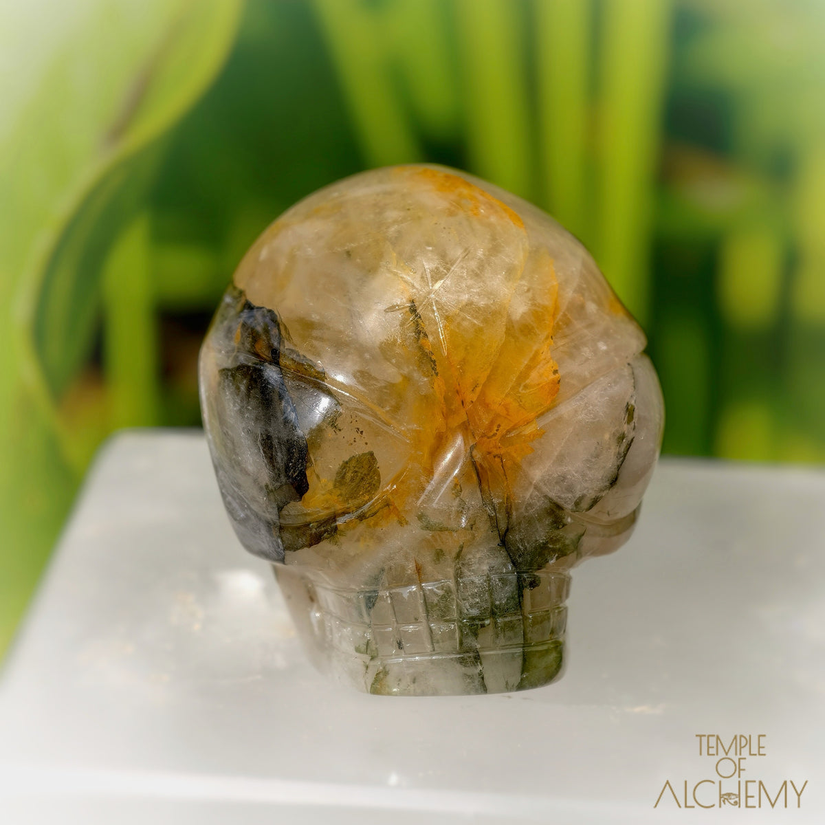 Green Chlorite x Golden Healer x Milky Quartz
