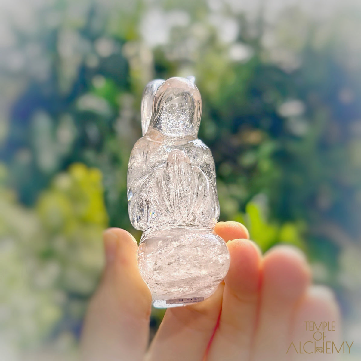 Lemurian 𓆃 Keeper of the Ancient Light