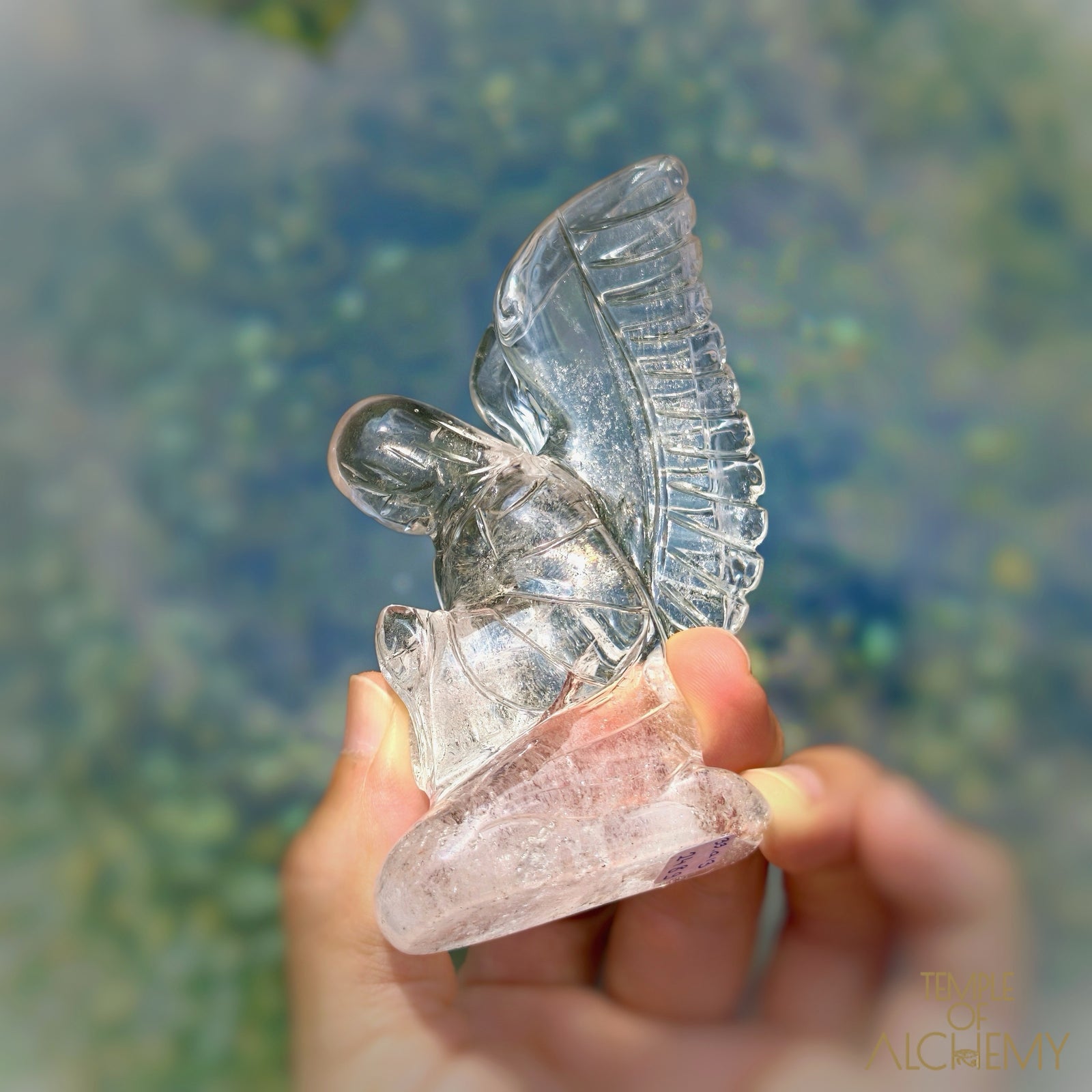Lemurian 𓆃 Keeper of the Ancient Light