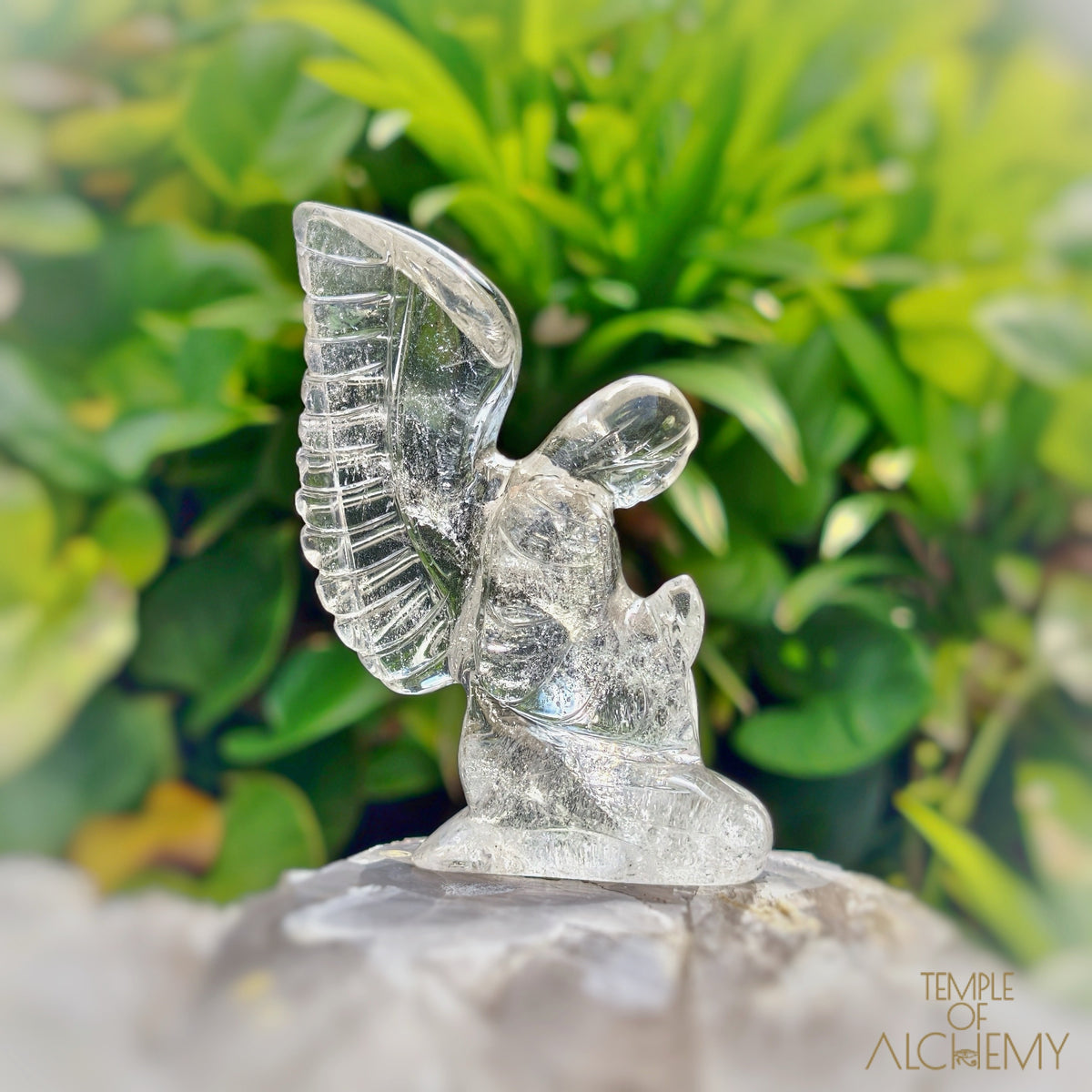 Lemurian 𓆃 Keeper of the Ancient Light