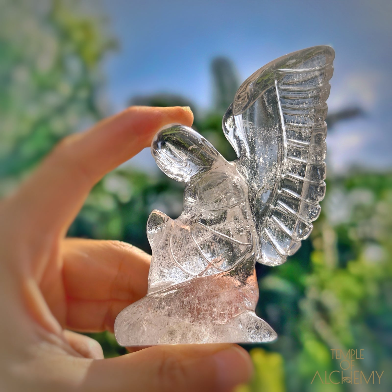 Lemurian 𓆃 Keeper of the Ancient Light