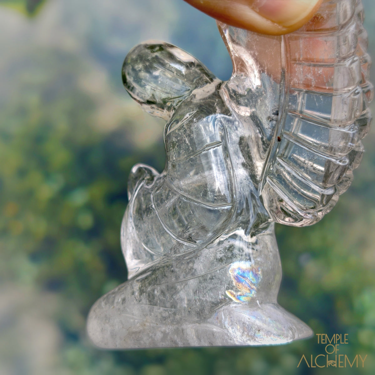 Lemurian 𓆃 Keeper of the Ancient Light