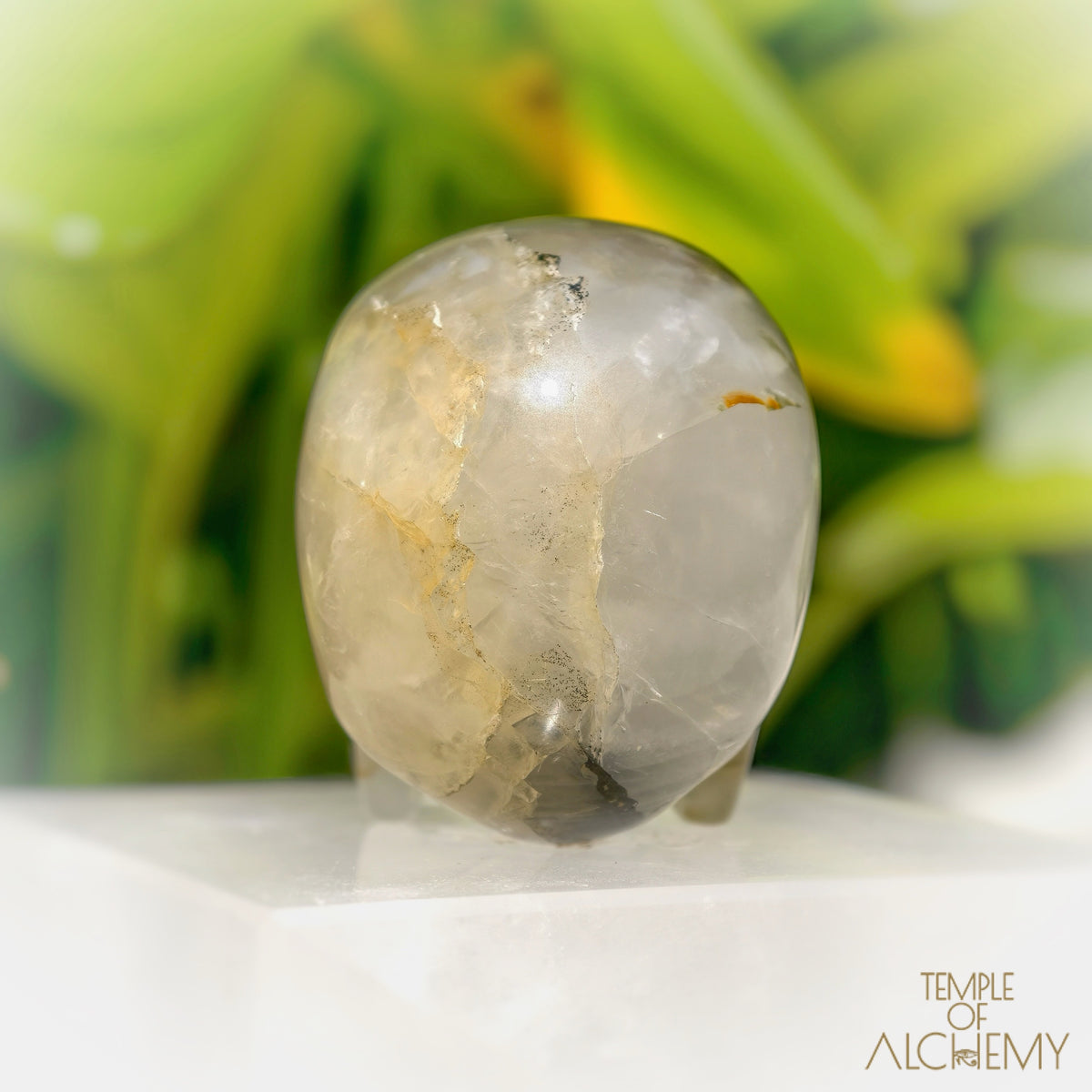 Green Chlorite x Golden Healer x Milky Quartz
