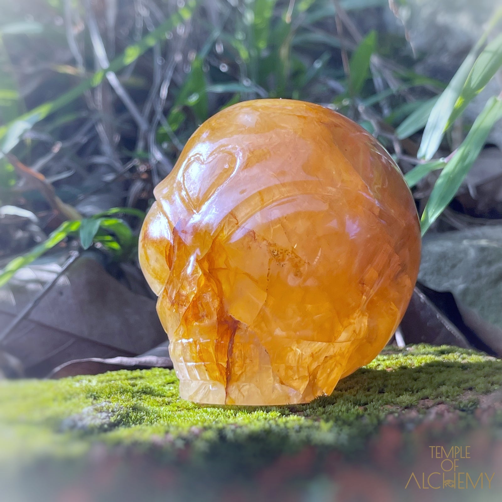 Golden Healer x Hematoid Quartz