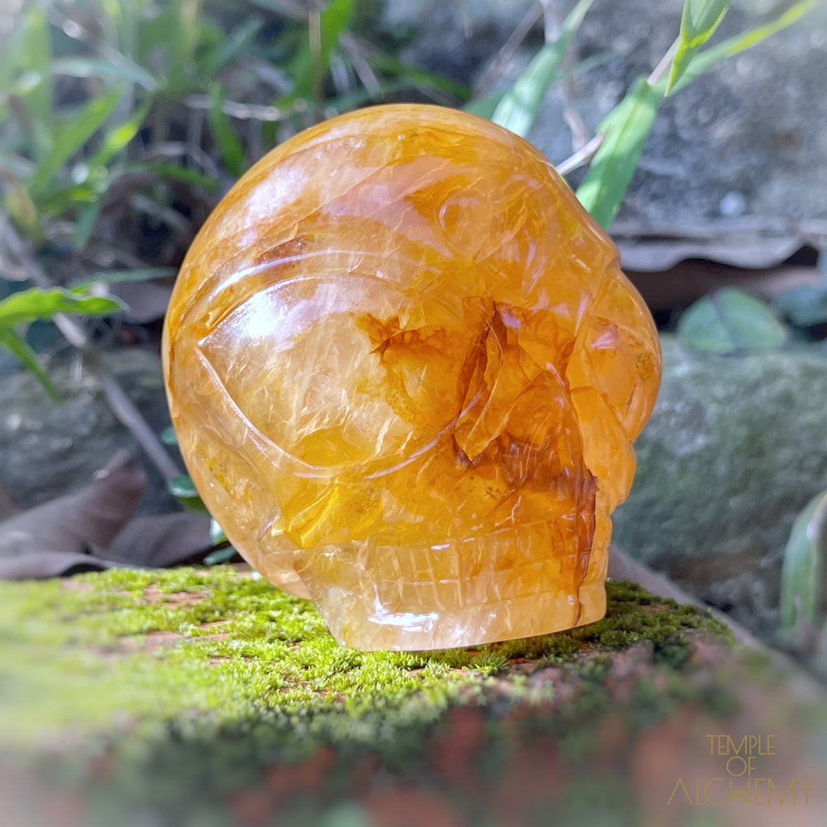 Golden Healer x Hematoid Quartz