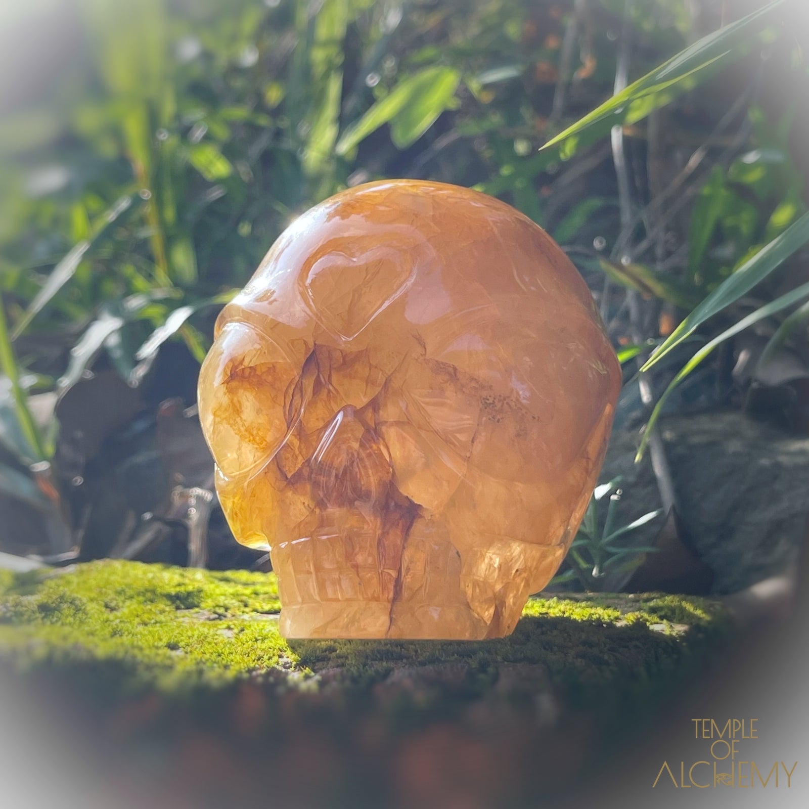 Golden Healer x Hematoid Quartz