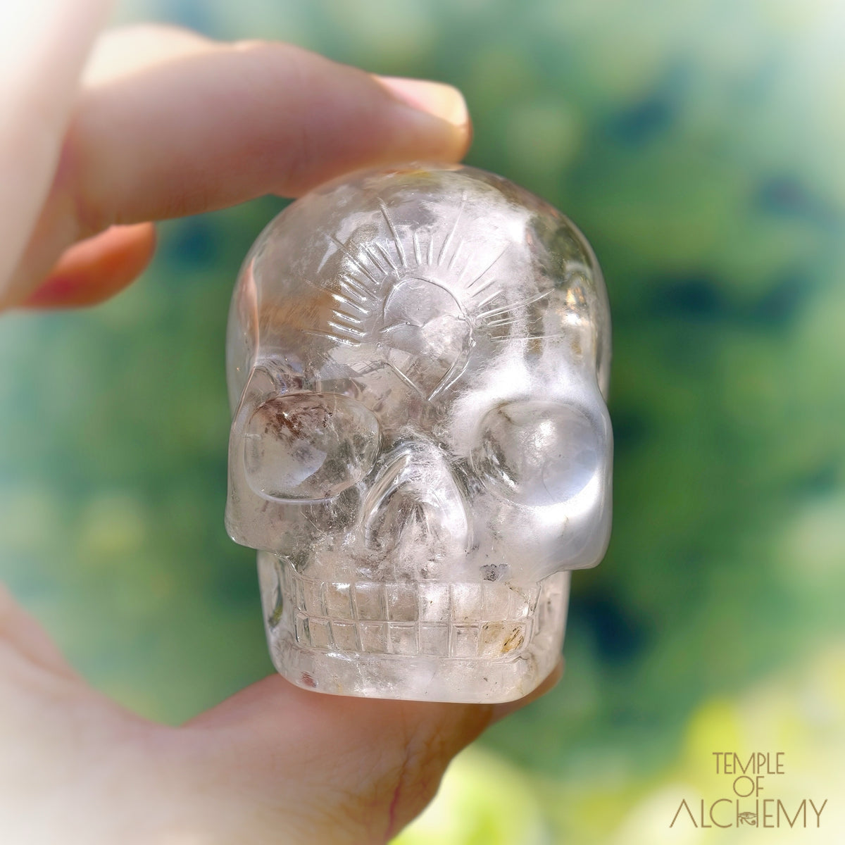 Amphibole Quartz