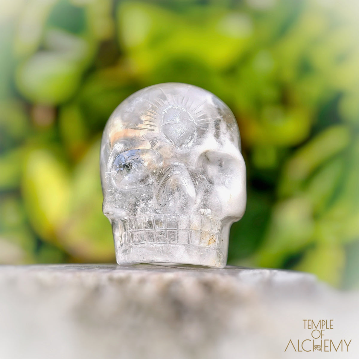 Amphibole Quartz