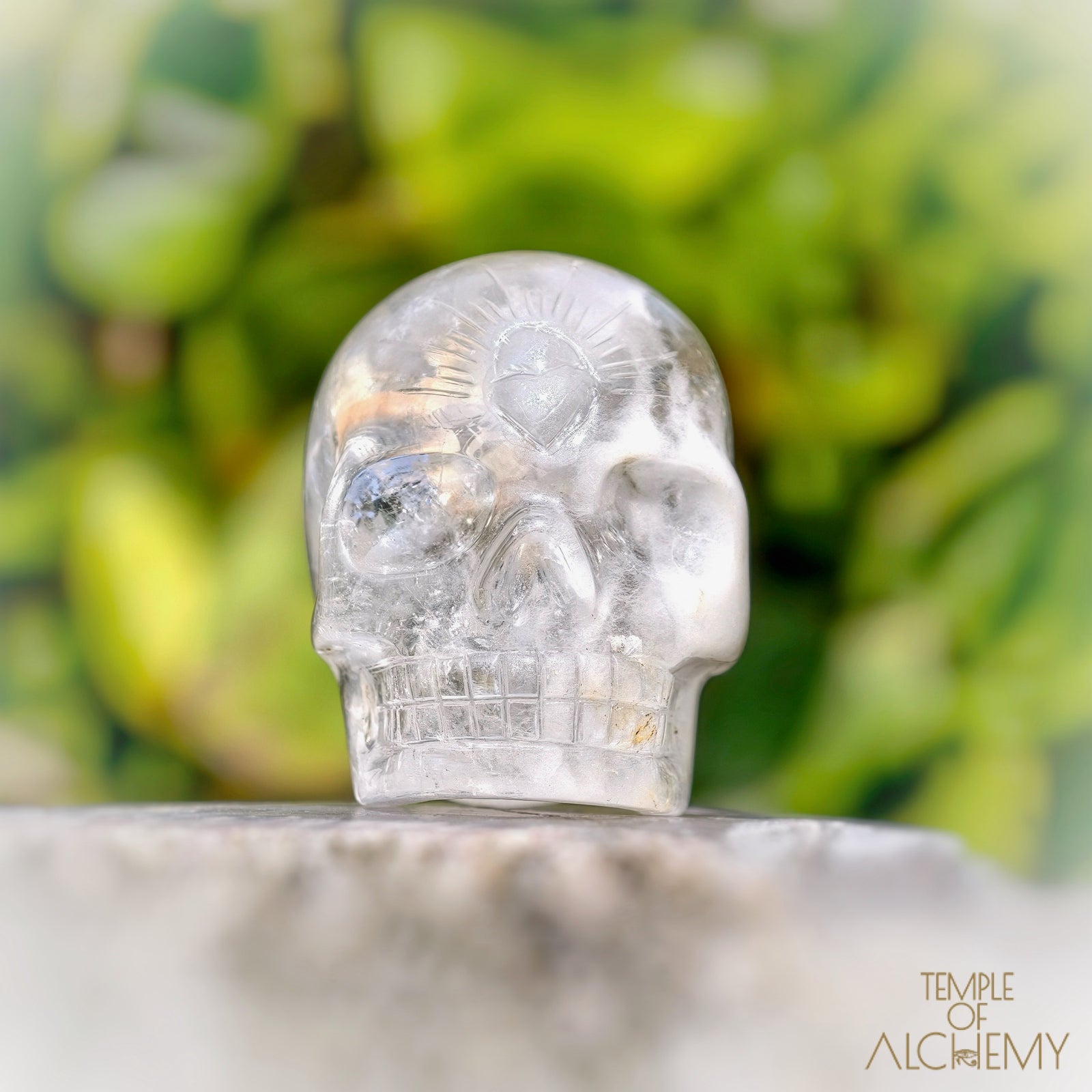 Amphibole Quartz