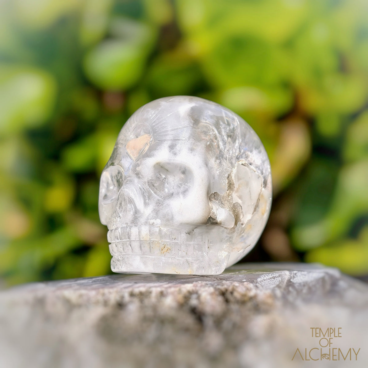 Amphibole Quartz