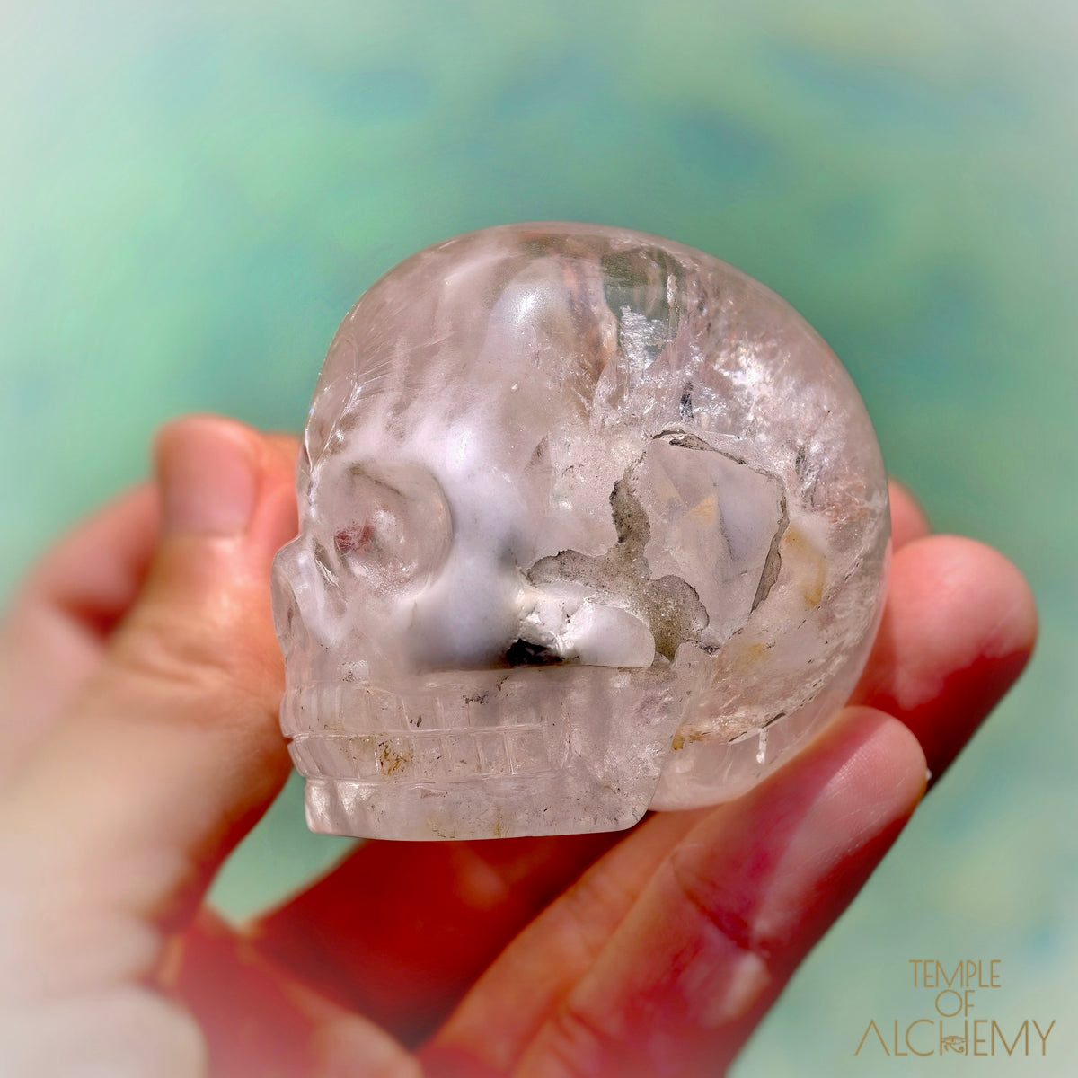 Amphibole Quartz